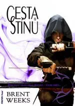 Noční anděl I. - Cesta stínů 1 cesta stinu jpg
